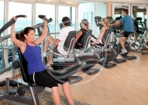 Gimnasio