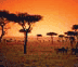 SUDÁFRICA